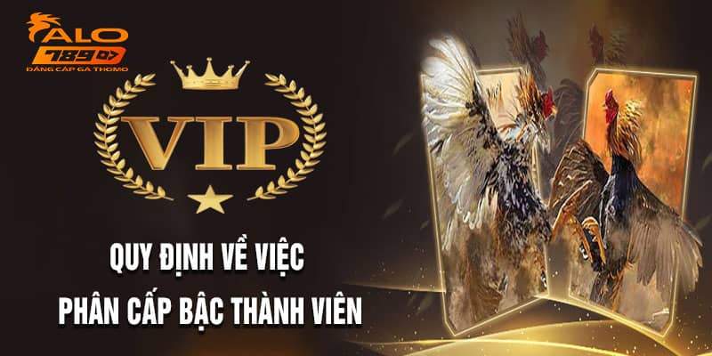 Có 3 cấp bậc trong chương trình clb vip alo789 Có 3 cấp bậc trong chương trình clb vip alo789
