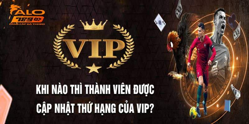 Tham gia ngay CLB VIP Alo789 để nhận được quyền lợi đặc biệt Tham gia ngay CLB VIP Alo789 để nhận được quyền lợi đặc biệt