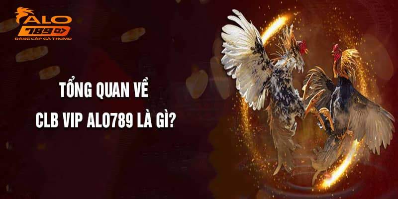 CLB VIP ALO789 là chương trình ưu đãi đặt biệt hấp dẫn CLB VIP ALO789 là chương trình ưu đãi đặt biệt hấp dẫn