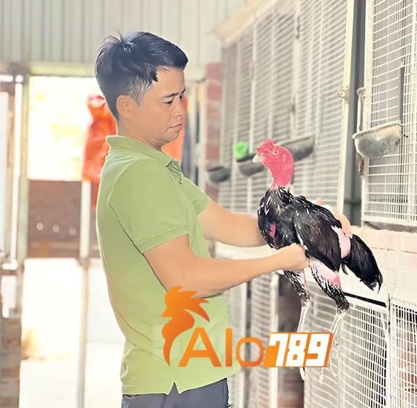 Hình ảnh tác giả Nguyễn Hữu Cảnh Hình ảnh tác giả Nguyễn Hữu Cảnh
