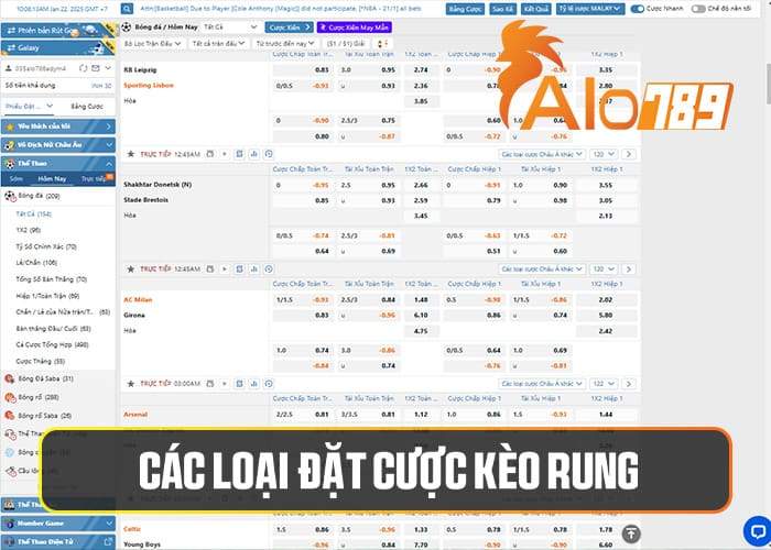 Các loại kèo rung tại Thể Thao ALO789 Các loại kèo rung tại Thể Thao ALO789