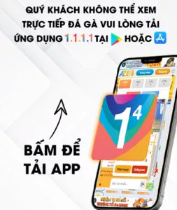 huongdan 253x300 1
